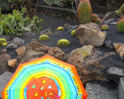 Le jardin des cactus