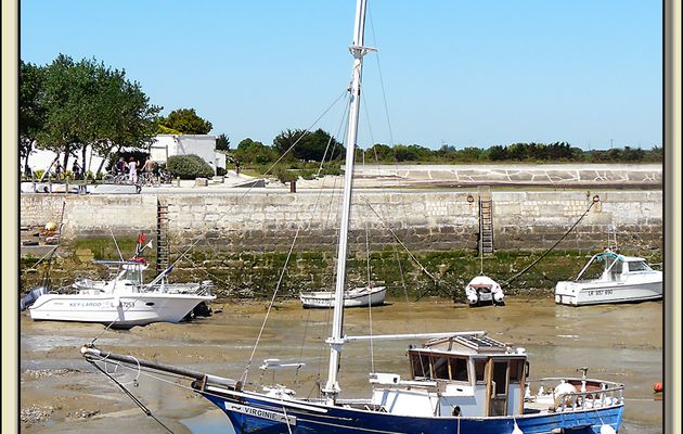 Ah belle Virginie, si je n'avais pas le mal de mer, que de folies je ferais bien avec toi ! - Loix-en-Ré - Ile de Ré - 17