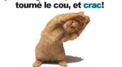 Humour