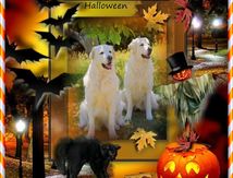 Happy Halloween