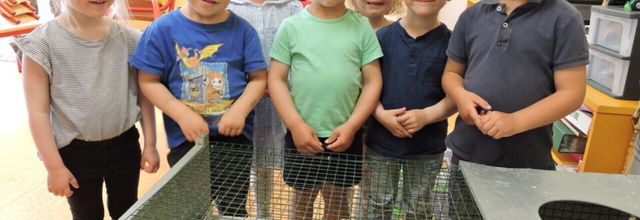 Article dans la Gazette du centre Morbihan paru cette semaine