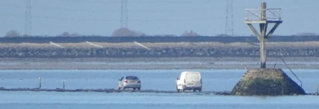 Les oiseaux du Marais de Mullembourg à Noirmoutier - mars 2019