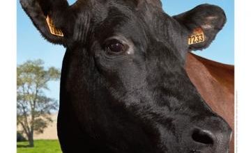 Filouse, égérie de l'édition 2015 du Salon International de l'Agriculture