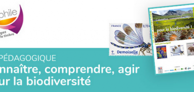 Kit Adphile rentrée 2020