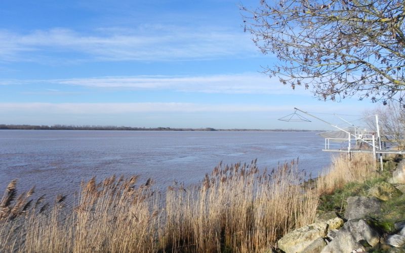 mes photos de ce matin en Nord Gironde