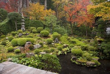 Voyage au Japon ... 