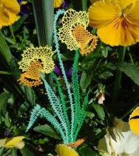 Jonquilles