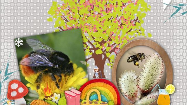 Abeilles et Butineurs