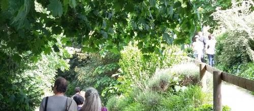 Fête médievale à l'Abbaye de St maur 