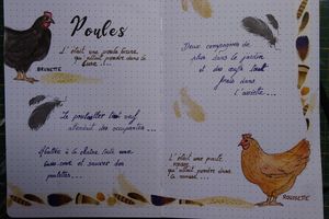 Le rendez-vous des SAL