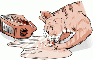 Antigel dangereux pour nos animaux