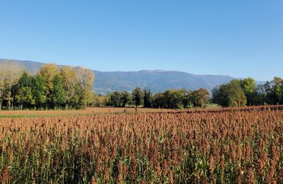 Le 13 octobre 2025 : En revenant d'Aix les Bains