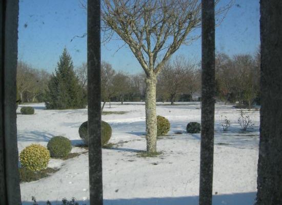 Février 2012 Vignoble sous la neige