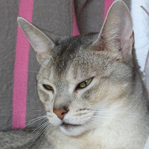 Marie46