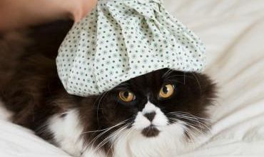 Comment faire un climatiseur maison en urgence