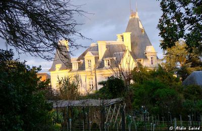 Soleil au Jardin du Thabor - Rennes  (2/2)