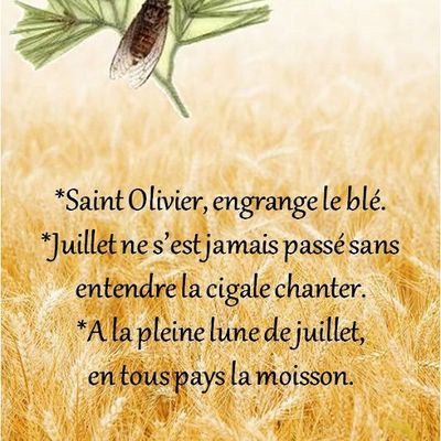 Dictons * Fête Olivier * grille prénom  !