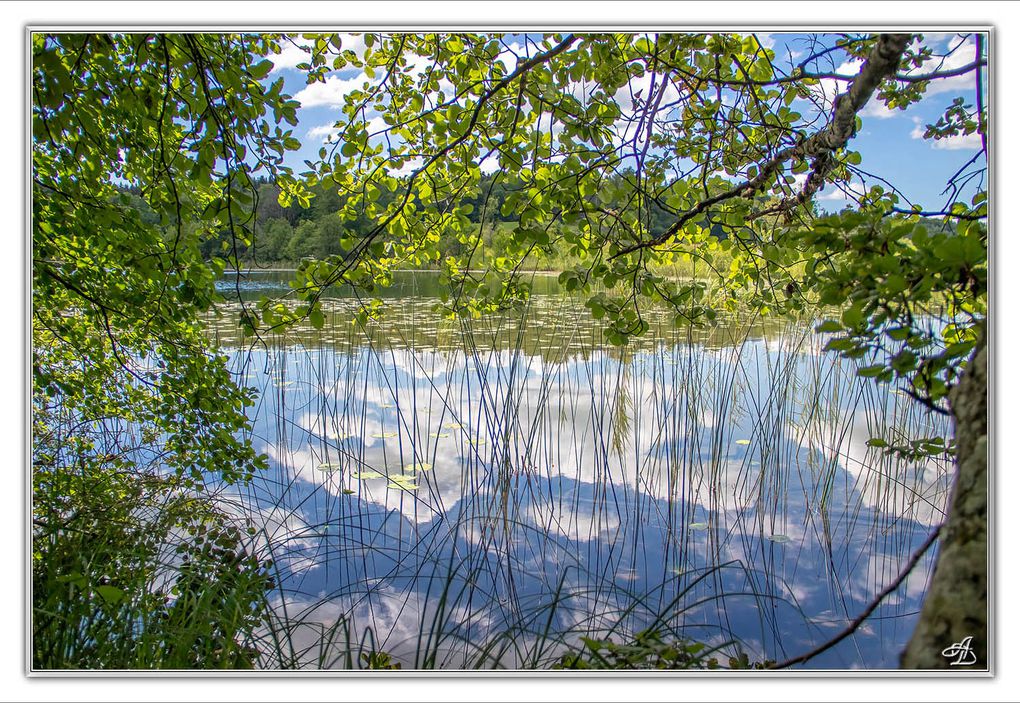 05 - Paysages