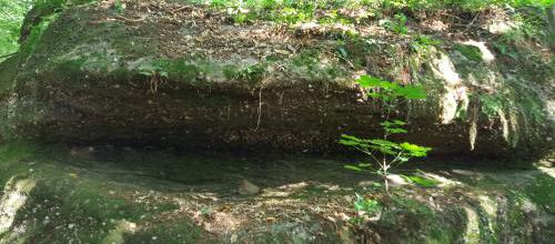 Le Rocher dit de DIDACUS dans les bois de Haegen. (Albert Fagioli)