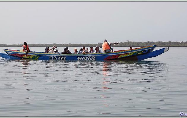 Nous montons dans de grandes pirogues sénégalaises pour rejoindre, à travers les bolongs, les villages Ehidj (village des Féticheurs) et Ourong - Ile Karabane - Casamance - Sénégal