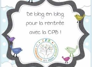 Promenade de blog en blog de la CPB - Je vous présente Monsieur Mathieu
