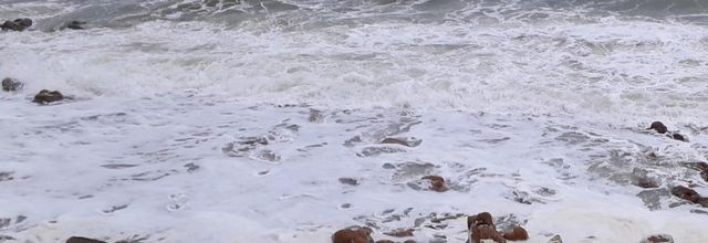  sur la plage  confinée