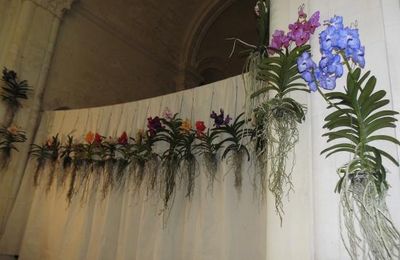Urcel2 : les fleurs 