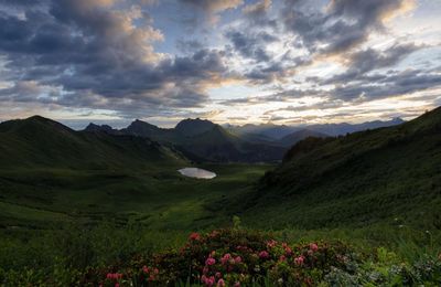 Entre aube et crépuscule sur les hauts plateaux du Giffre (épisode 1)
