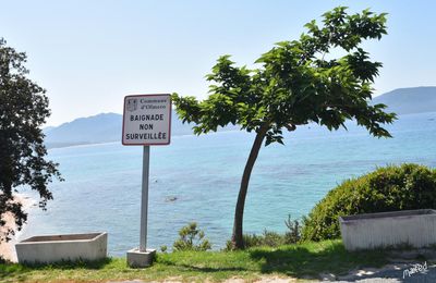 Olmeto plage(s) - Corse
