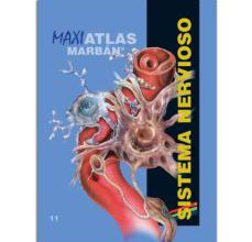 Libros en pdf gratis para descargar libros SISTEMA NERVIOSO (MAXI ATLAS 11) de  RTF PDF ePub 9788417184155