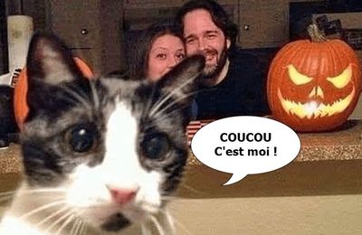 L'intrus habituel....