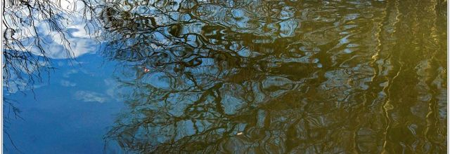 Reflets (2)