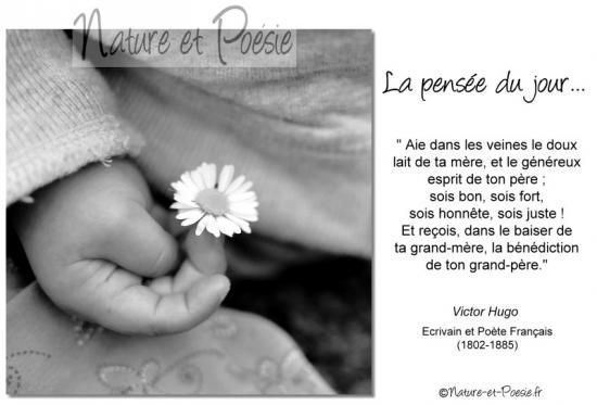 Citations en images : Aie.......