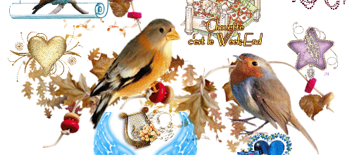 OISEAUX DECOS WEEK END