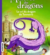 Download PDF Maîtres des dragons Tome 8
