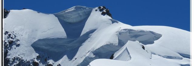 QUI VEUT UN PEUT DE FRAÏCHEUR 