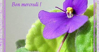 Les rires du mercredi