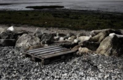 L'ile Madame
