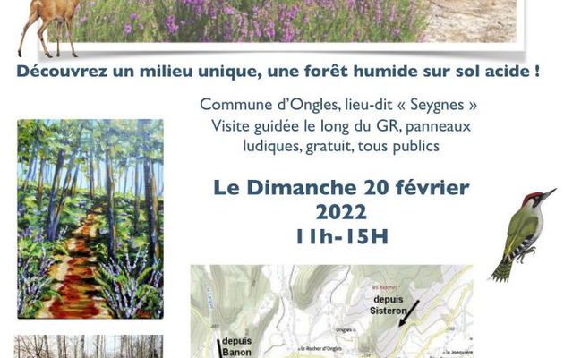 *[elzeard] Bulldozers sur la voie romaine à Ongles et journée à Seygnes (forêt de Ongles) avec la LPO, ce dimanche