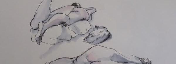 Mardi - Deux poses côté pile. Et le chat...