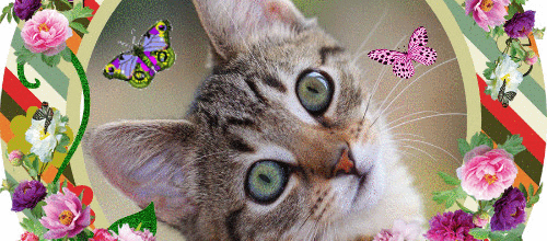 CADRE ANIMAUX FLEURS