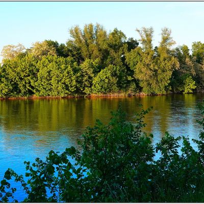 Voyage dans le Loiret / Mai 2025