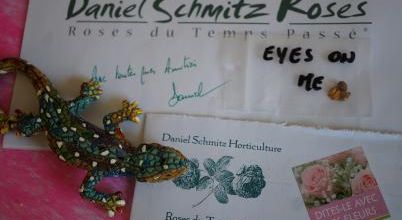 Une belle récompense
