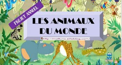 2024-2025: retour vers les animaux du monde mais en CP-CE1