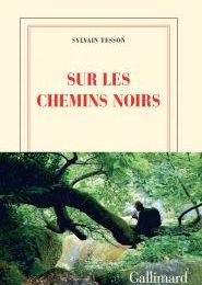 Sur les chemins noirs de Sylvain Tesson