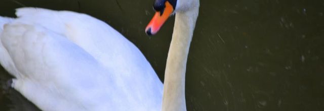  au pays des légendes  (Bretagne ) 