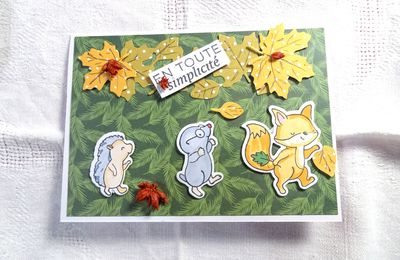 Défi bébés animaux en balade .