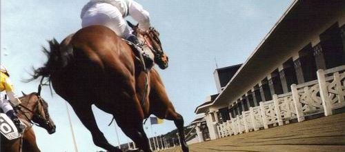 au galop