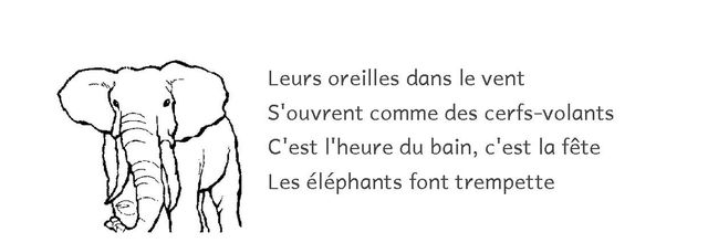 les éléphants