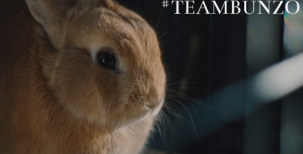 Bunzo the Rabbit